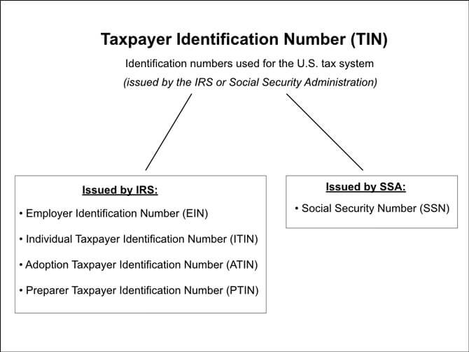 IRS Taxpayer ID Numbers