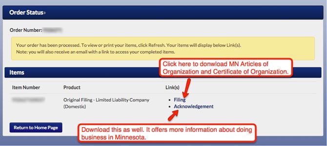 Minnesota LLC Approval Online Filing Download Page