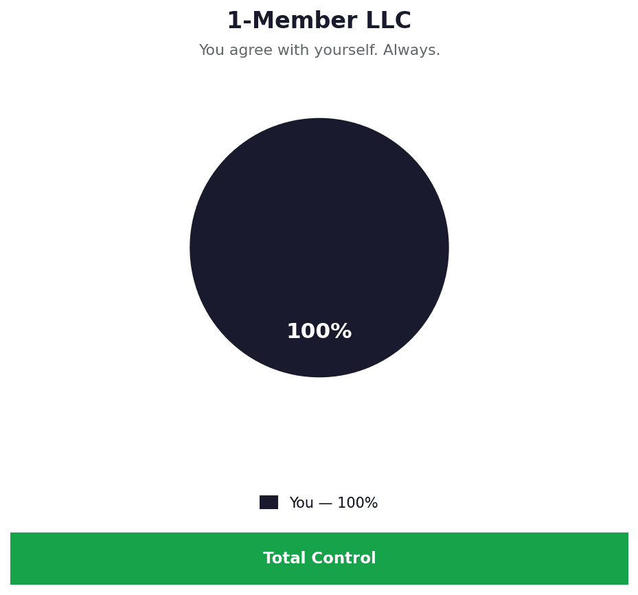 LLC Operating Agreement Pie Chart with 1 Owner
