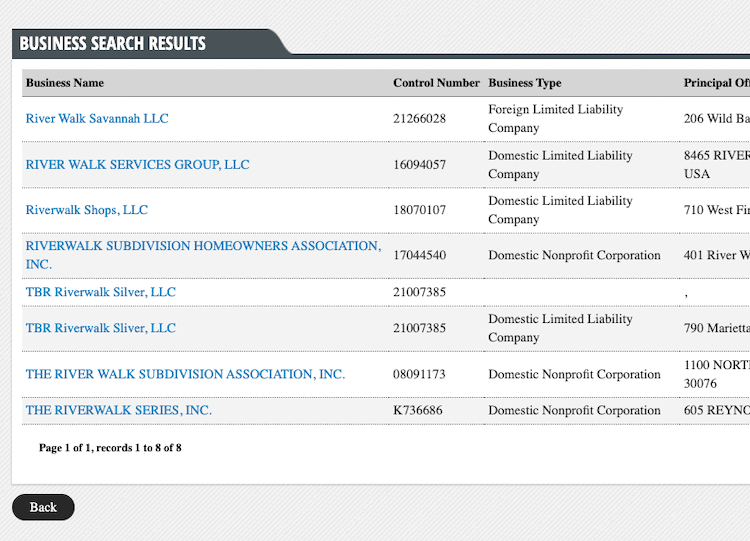 Screenshot of sample results from the Georgia Business Entity Search
