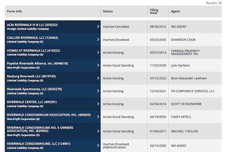 Screenshot of sample results from the Idaho Business Entity Search