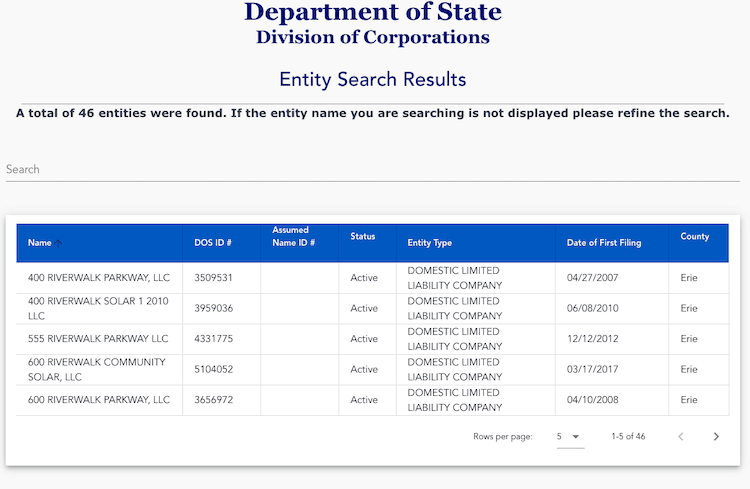 Screenshot of sample results from the New York Business Entity Search